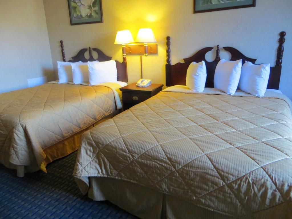 Eurotel Inn Maitland Phòng bức ảnh